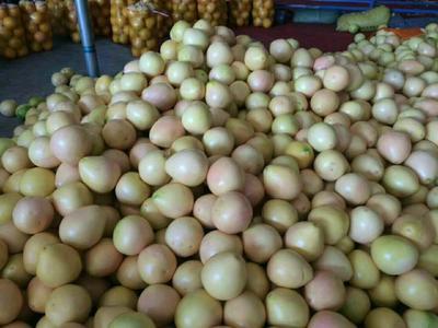 浙江省溫州市永嘉縣農(nóng)產(chǎn)品價格行情走勢分析